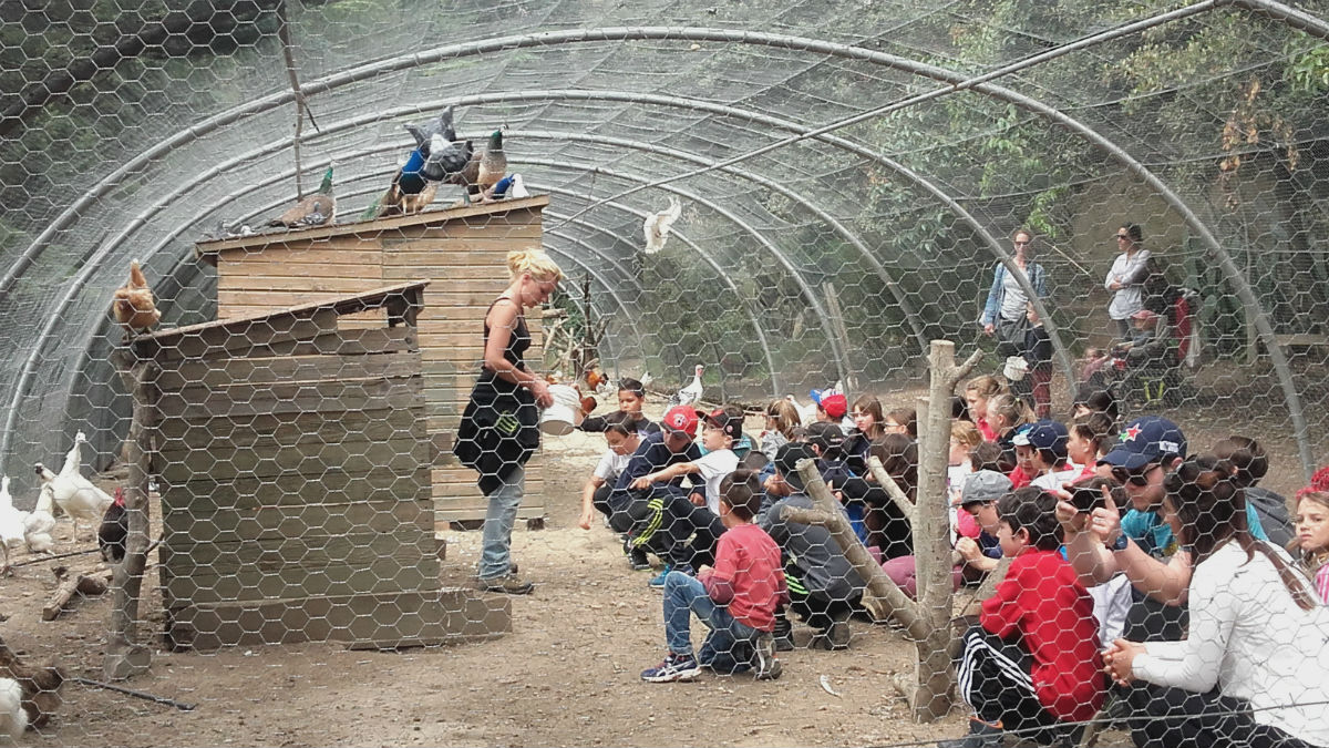 Comment trouver une bonne colonie de vacances ?